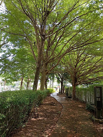 3 Bedroom Detached House for Sale in Chalong Phuket - photo 8