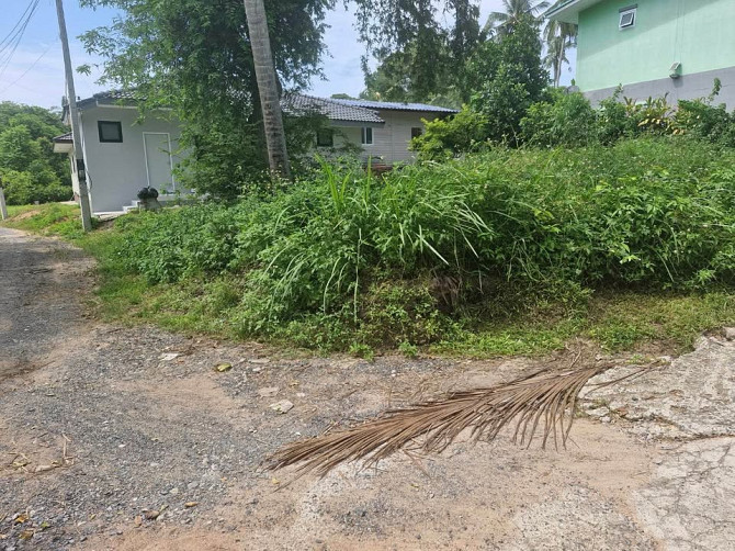 1 Bed House for Sale in Bangpor Samui - photo 3