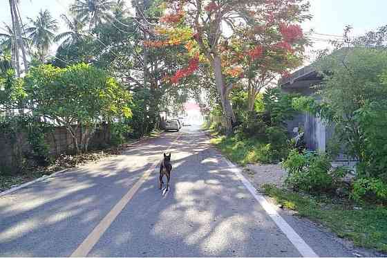 2 Bedroom House for Sale Near Beach in Nathon Samui