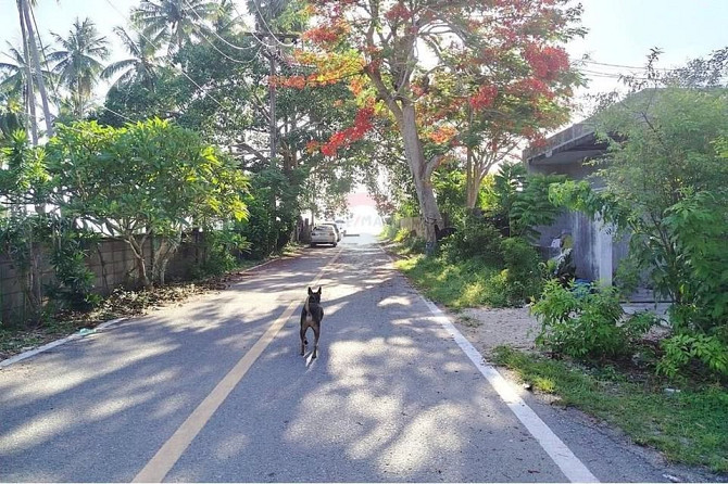 2 Bedroom House for Sale Near Beach in Nathon Samui - photo 5