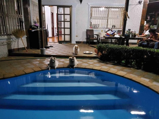 2 Bedroom Pool Villa for Sale on Ratchapat Road Samui - photo 2