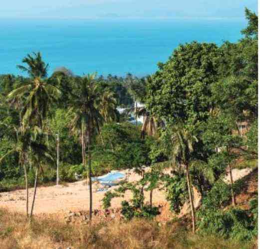 3 Bedroom Pool Villa for Sale in Koh Samui Samui