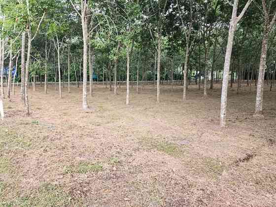🚨| SALE!!! Land for sale in Thalang, fronting the old Thepkrasattri Road (Saku-Nai Yang), area of 11 Phuket