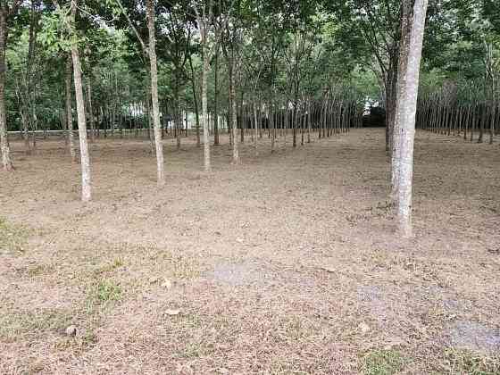 🚨| SALE!!! Land for sale in Thalang, fronting the old Thepkrasattri Road (Saku-Nai Yang), area of 11 Phuket
