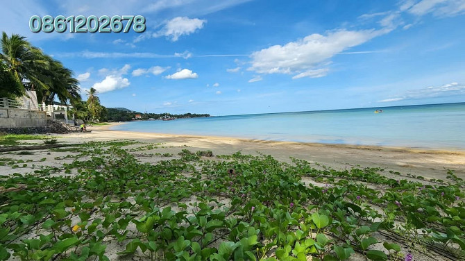 Land for sale on a beautiful beach. [Koh Samui Thailand 🇹🇭] Samui - photo 3