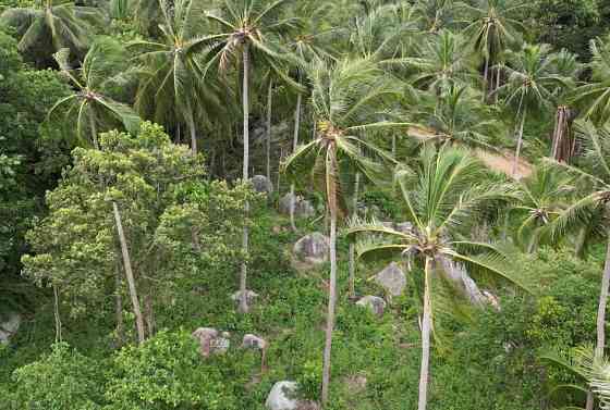 House with Bedrooms: 2 and Bathrooms: 2 Phangan