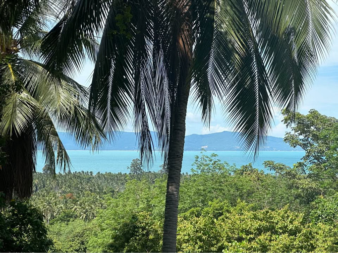 House with Bedrooms: 3 and Bathrooms: 3 Phangan - photo 2