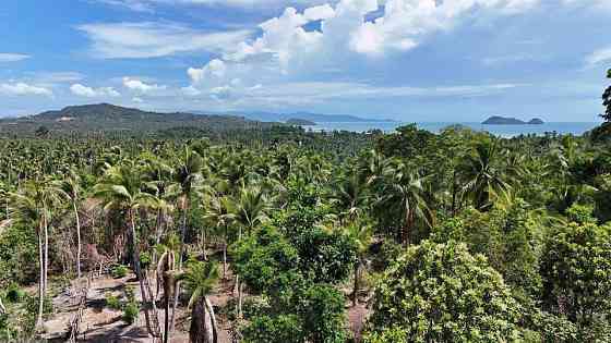 House with Studio and Bathrooms: 0 Phangan