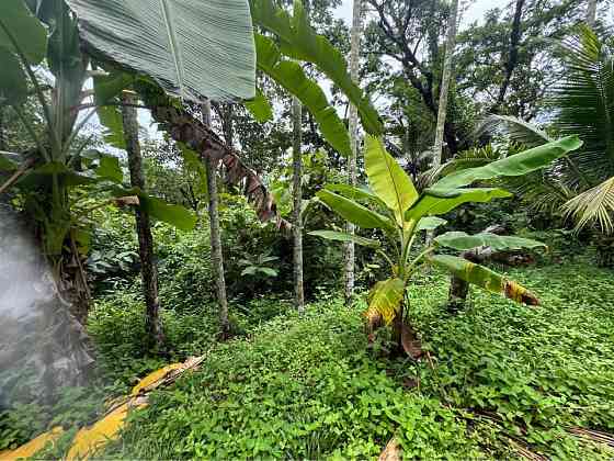 2 bedrooms 2 bathrooms - House Samui