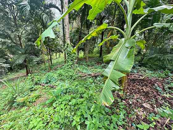 2 bedrooms 2 bathrooms - House Samui