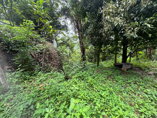 2 bedrooms 2 bathrooms - House Samui - photo 4