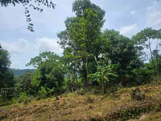 Nice land plot in Lamai for sale Samui