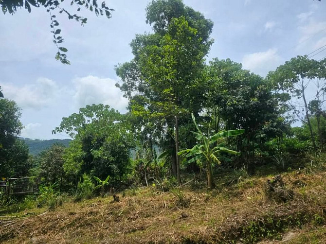 Nice land plot in Lamai for sale Samui - photo 3