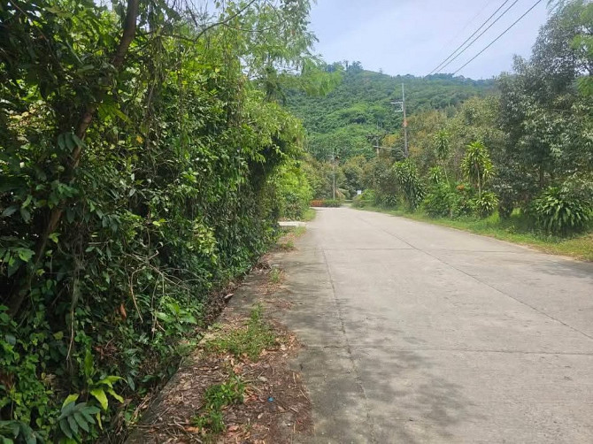 Nice land plot in Lamai for sale Samui - photo 2