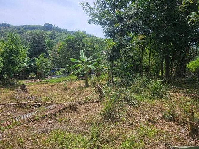 Nice land plot in Lamai for sale Samui - photo 4