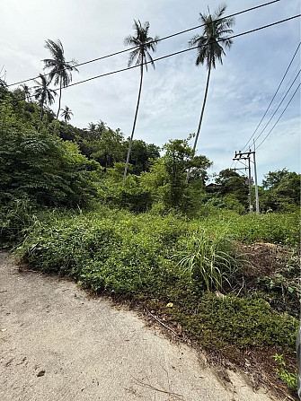Studio 0 Baths - House Samui - photo 2