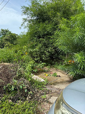Studio 0 Baths - House Samui - photo 4