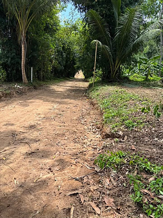 Lamai Land Samui - photo 2