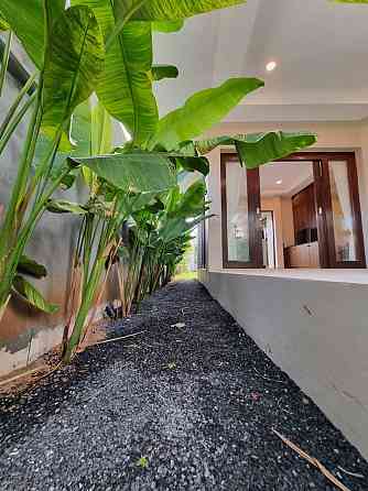 3 Beds 3 Baths - House Samui