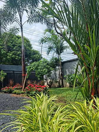 3 Beds 3 Baths - House Samui - photo 8