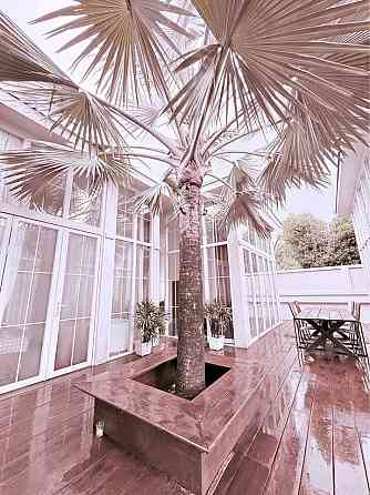 Villa for sale Samui