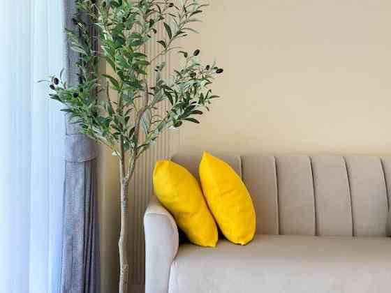 1 Bedroom 1 Bathroom - Apartment ภูเก็ต