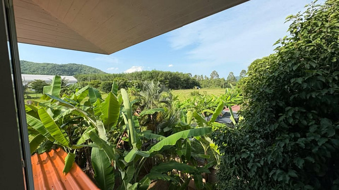 3 Beds 2 Baths House Samui - photo 15