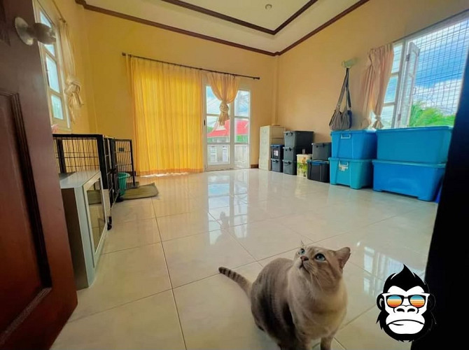 3 Beds 2 Baths House Samui - photo 9