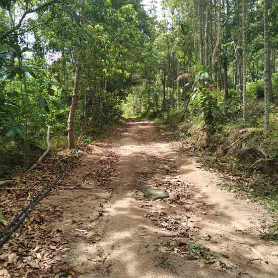 800 sqm Land for Long Lease in Koh Phangan Phangan