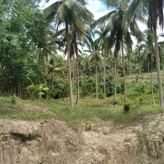 800 sqm Land for Long Lease in Koh Phangan Phangan