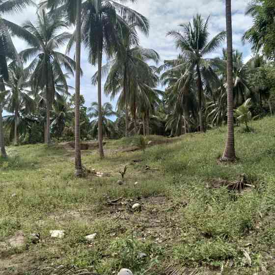 800 sqm Land for Long Lease in Koh Phangan Phangan