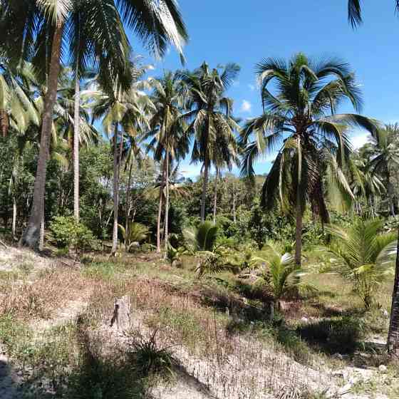 800 sqm Land for Long Lease in Koh Phangan Phangan