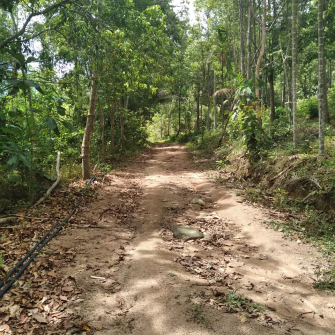800 sqm Land for Long Lease in Koh Phangan Phangan - photo 3