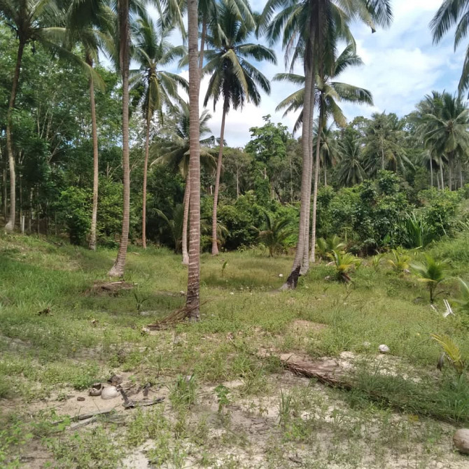 800 sqm Land for Long Lease in Koh Phangan Phangan - photo 6