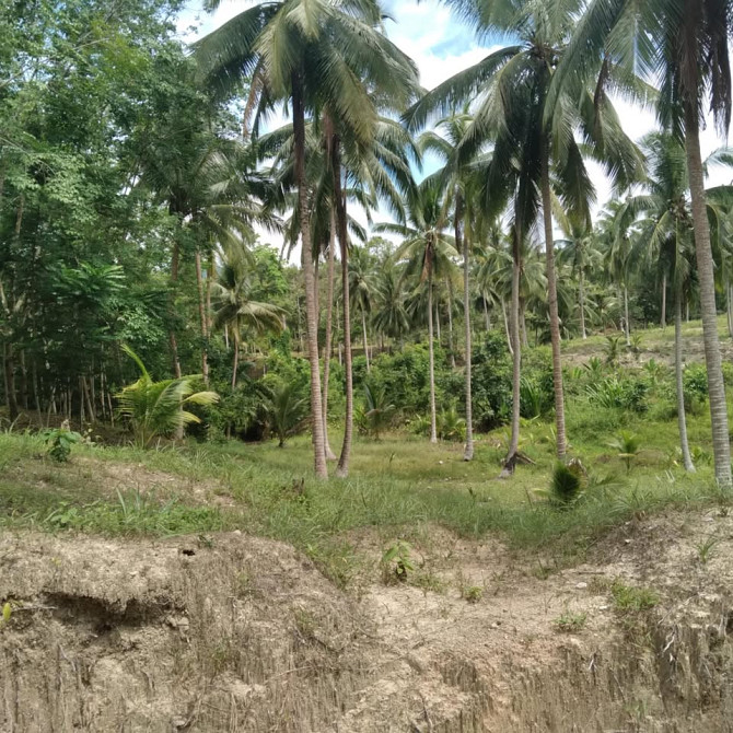 800 sqm Land for Long Lease in Koh Phangan Phangan - photo 5