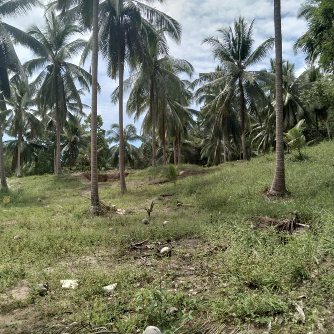800 sqm Land for Long Lease in Koh Phangan Phangan - photo 2