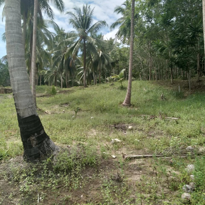 800 sqm Land for Long Lease in Koh Phangan Phangan - photo 9