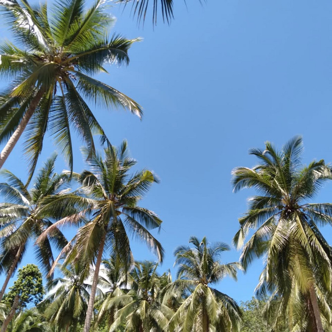 800 sqm Land for Long Lease in Koh Phangan Phangan - photo 20