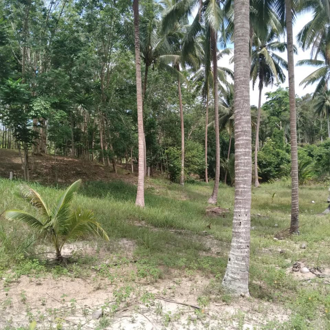 800 sqm Land for Long Lease in Koh Phangan Phangan - photo 7