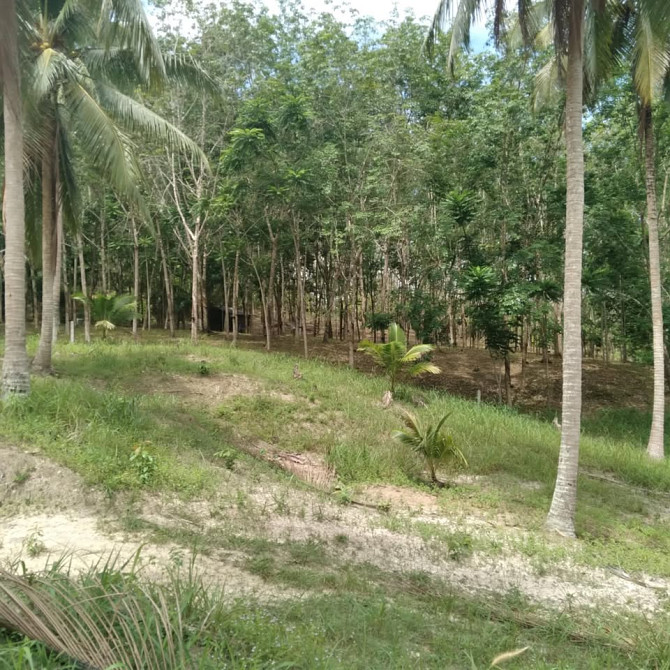 800 sqm Land for Long Lease in Koh Phangan Phangan - photo 11