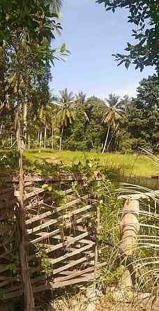 1 Bedroom Land for Lease in Baanmadeowan Панган