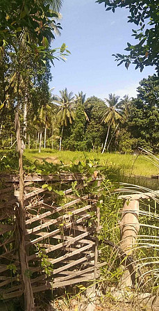 1 Bedroom Land for Lease in Baanmadeowan Phangan - photo 3