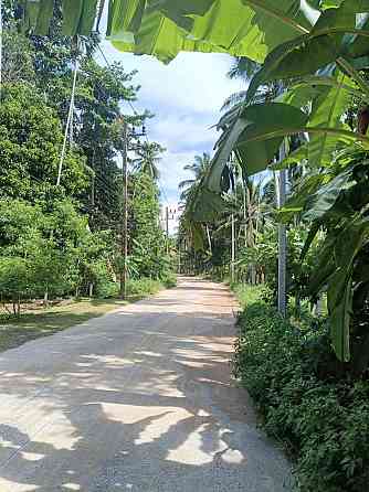 6 Rai Land for Lease in Baanmadeowan Phangan