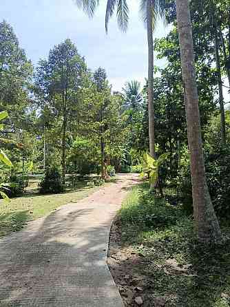 6 Rai Land for Lease in Baanmadeowan Phangan