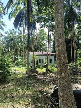 6 Rai Land for Lease in Baanmadeowan Phangan
