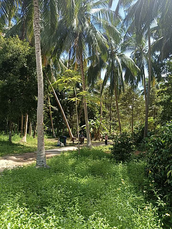 6 Rai Land for Lease in Baanmadeowan Phangan - photo 10