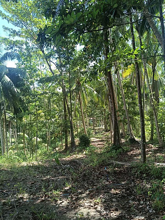 6 Rai Land for Lease in Baanmadeowan Phangan - photo 20