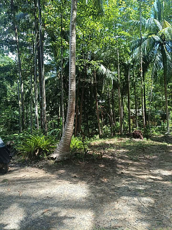 6 Rai Land for Lease in Baanmadeowan Phangan - photo 13