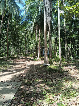 6 Rai Land for Lease in Baanmadeowan Phangan - photo 12