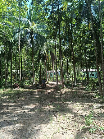 6 Rai Land for Lease in Baanmadeowan Phangan - photo 14